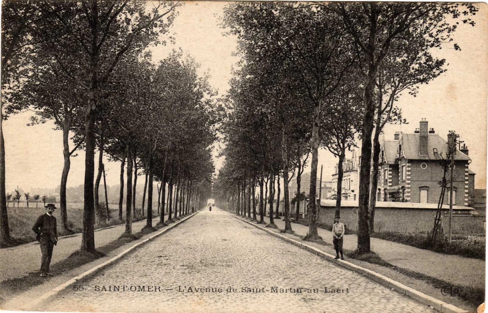 (d)- Une avenue bien calme