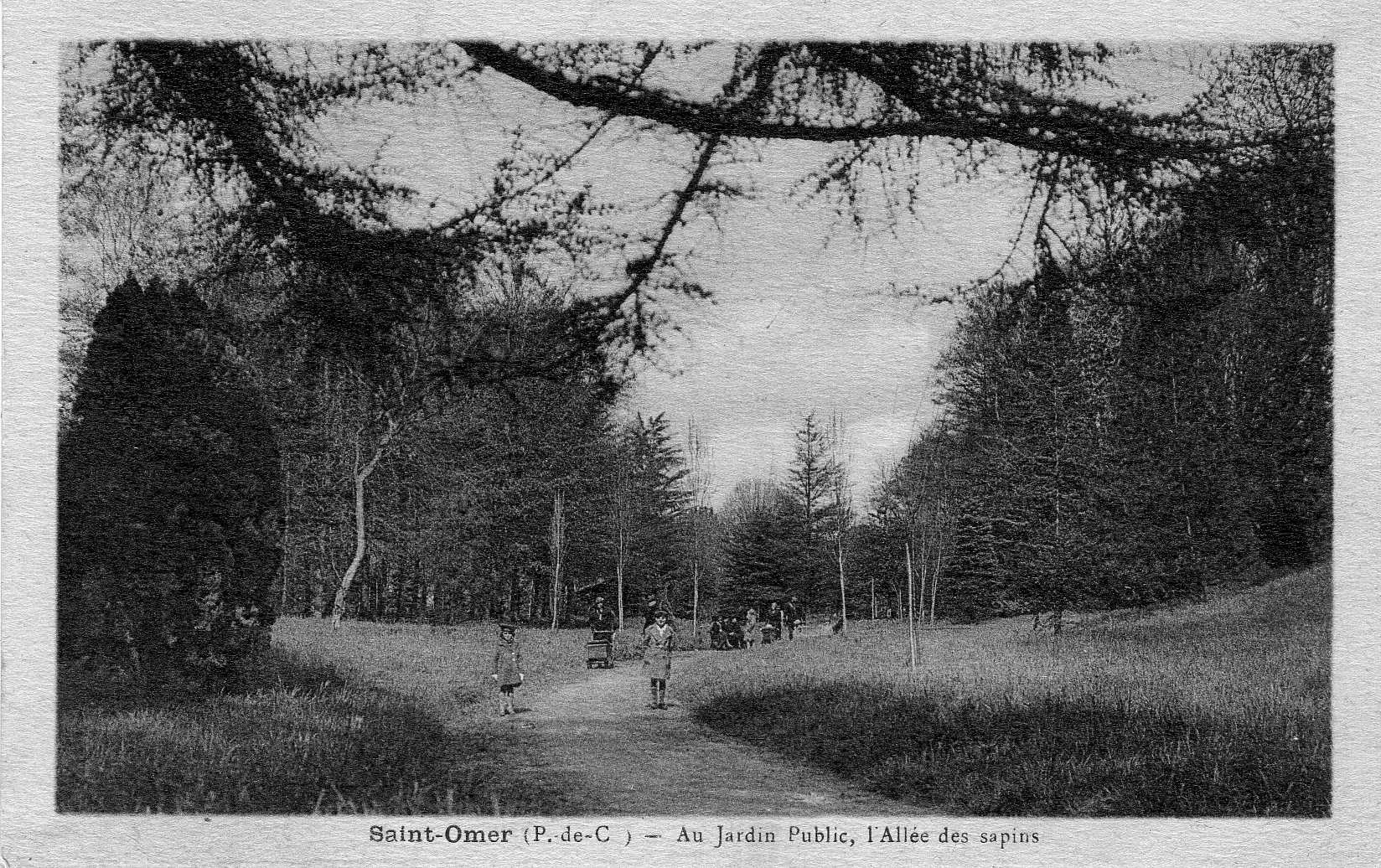 (v)- L'Allée des sapins