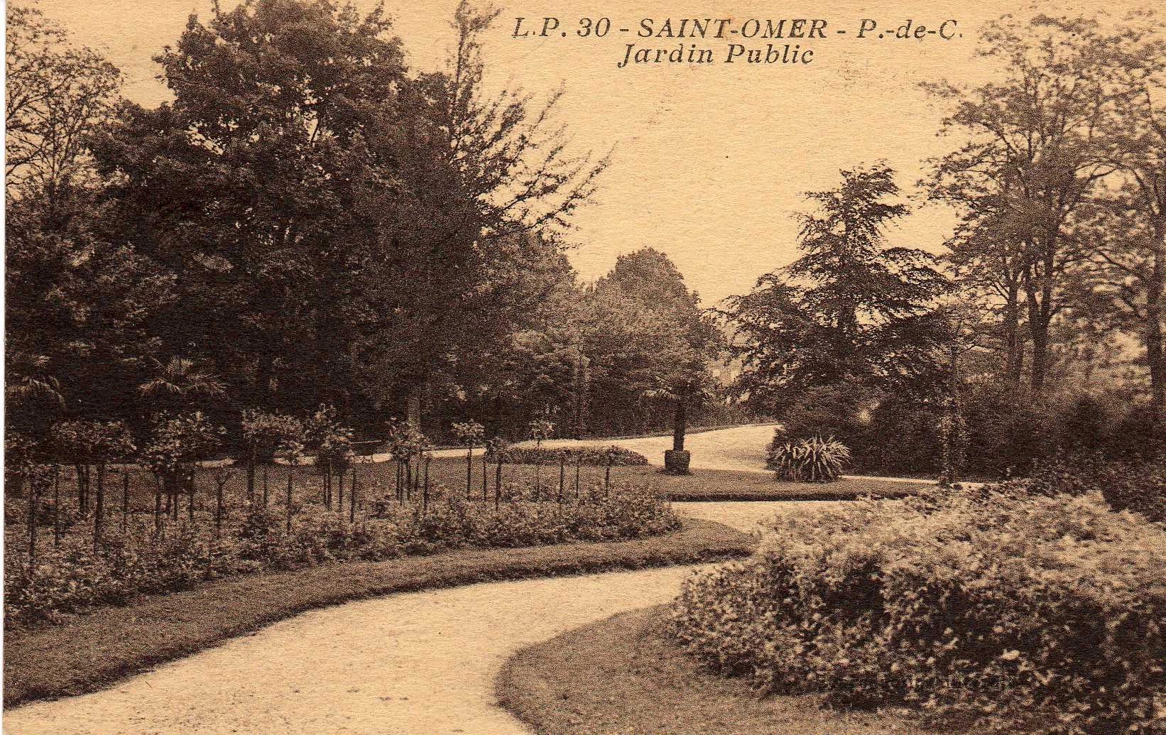 (i)- Au détour des allées