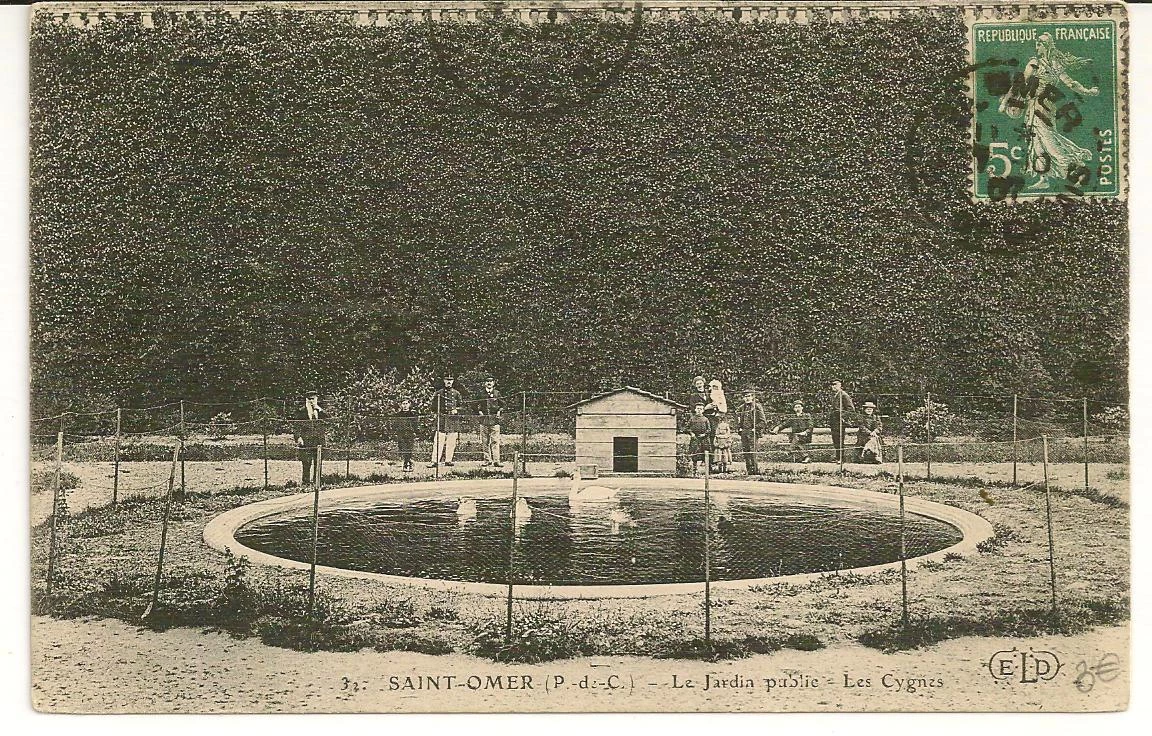 (m)- Le bassin aux cygnes